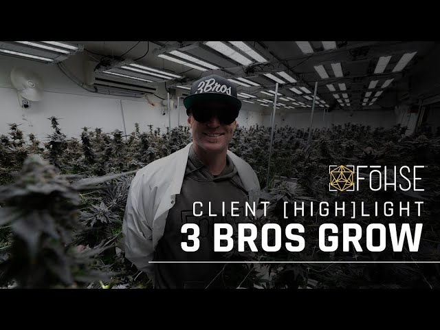 Fohseâ€™s Attention To Detail | 3 Bros Grow Cultivation [HIGH]LIGHT