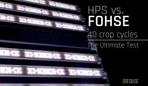 FOHSE Webinars