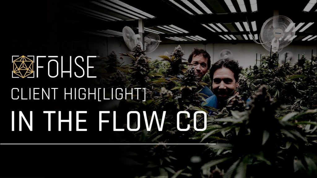 In The Flow Client Highlight | The Fohse A3iâ€™s Power Over HPS