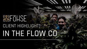 Optimizing Cannabis Cultivation: Advanced Insights and Growing Tips