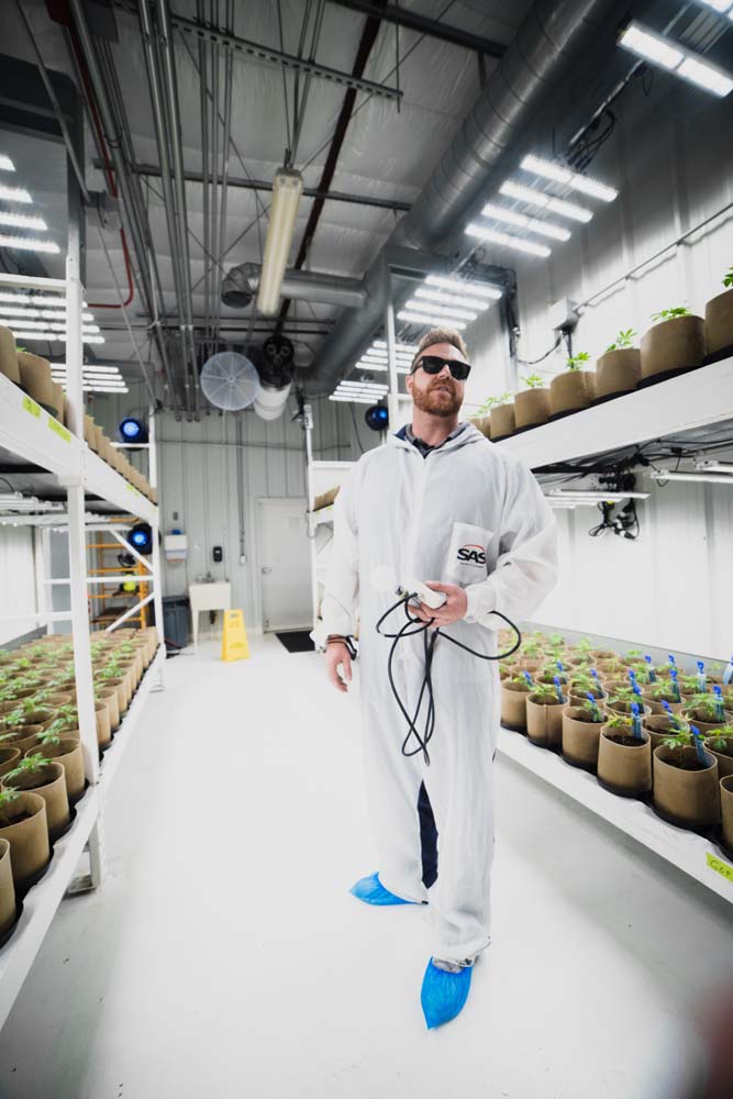 Here’s What The Cannabis Industry Is Most Optimistic About Heading Into 2022