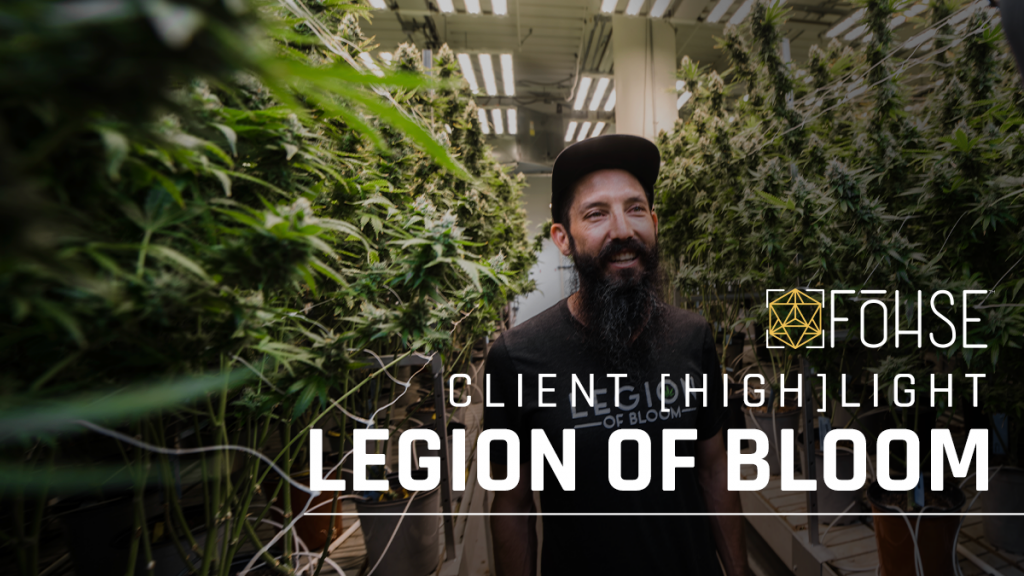 Transitioning To High Output LEDs | Legion Of Bloom Client [HIGH]LIGHT