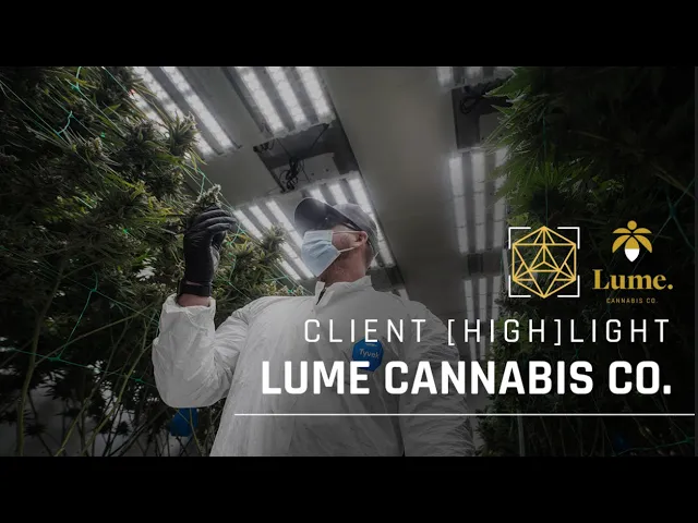134.5 grams/sq ft ? | Lume Cannabis Client [HIGH]LIGHT ?
