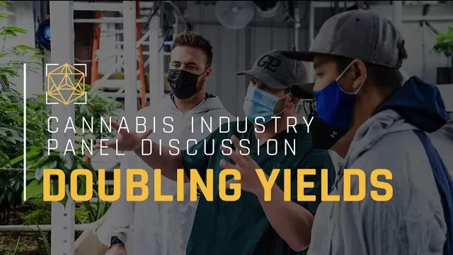 Cannabis Industry Discussion | Doubling Yields With Fohse LEDs ?