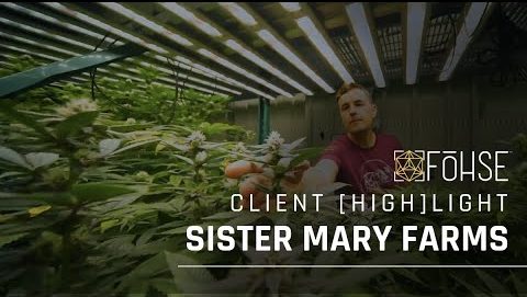 “Fohse Lights Are Totally, Freaking AWESOME!”  Sister Mary Farms Client Highlight