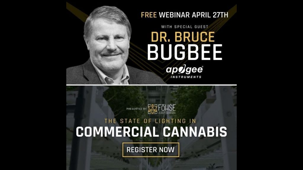 The State of Lighting in Commercial Cannabis | WSG Dr. Bruce Bugbee