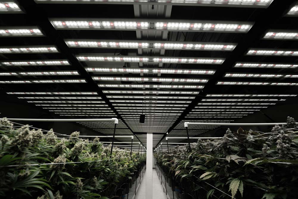 Vertical Farming With The F1V by Fohse