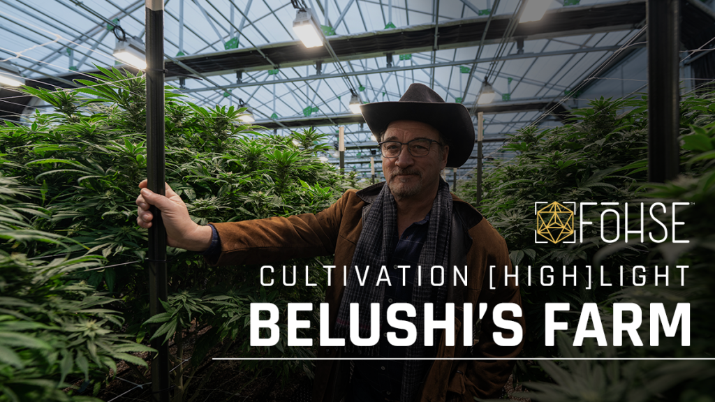 “If You’re Going To Go BIG, Go FOHSE!” – Belushi’s Farm CULTIVATION [HIGH]LIGHT
