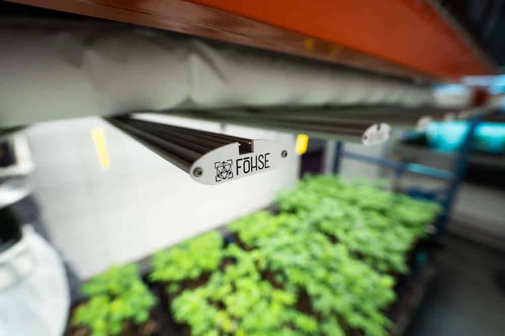 Vertical Farming With The F1V by Fohse