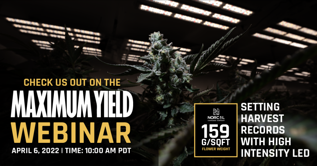 [WEBINAR] 159 Grams per Sq. Ft.?! Setting Harvest Records with High Intensity LED