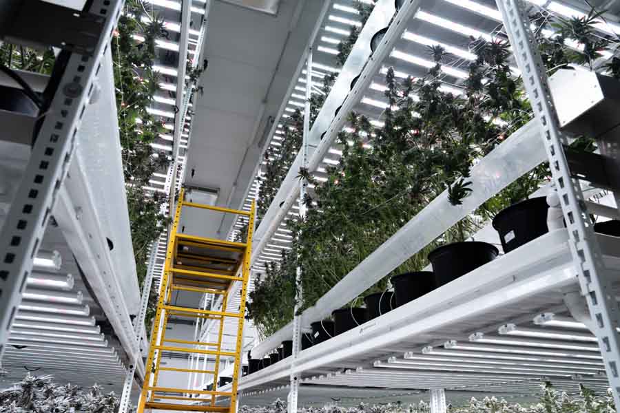 Claybourne – Vertical Farming LED Lighting