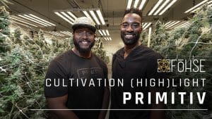 Optimizing Cannabis Cultivation: Advanced Insights and Growing Tips