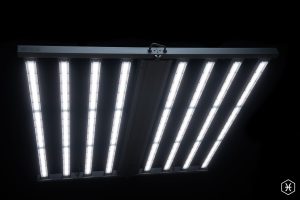 The best LED Light for home growing cannabis - The FOHSE Pisces 