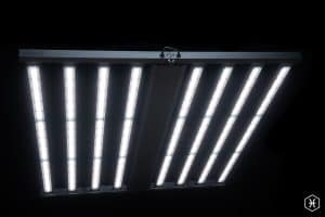 The best LED Light for home growing cannabis - The FOHSE Pisces 