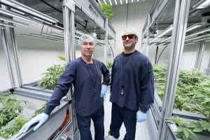 Optimizing Cannabis Cultivation: Advanced Insights and Growing Tips