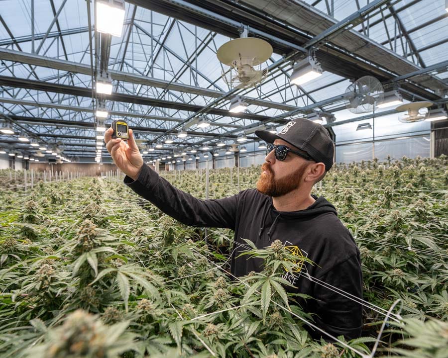 FOHSE Inc. and Terp Mansion: Illuminating Solutions for Cultivation Challenges
